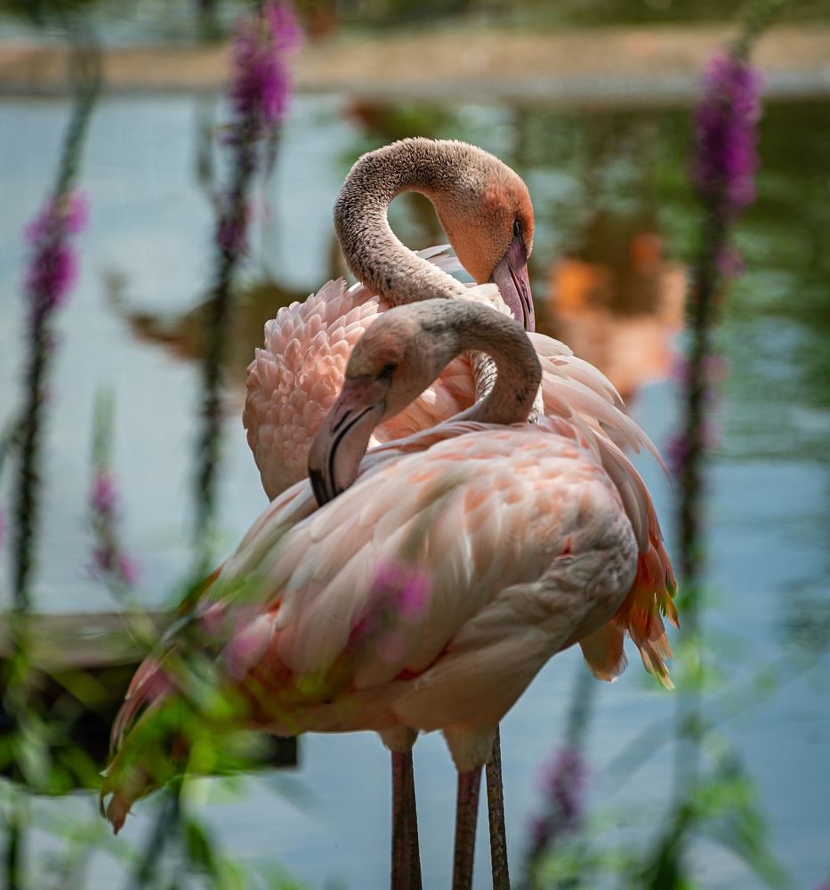 Photograph by Сергей Басов