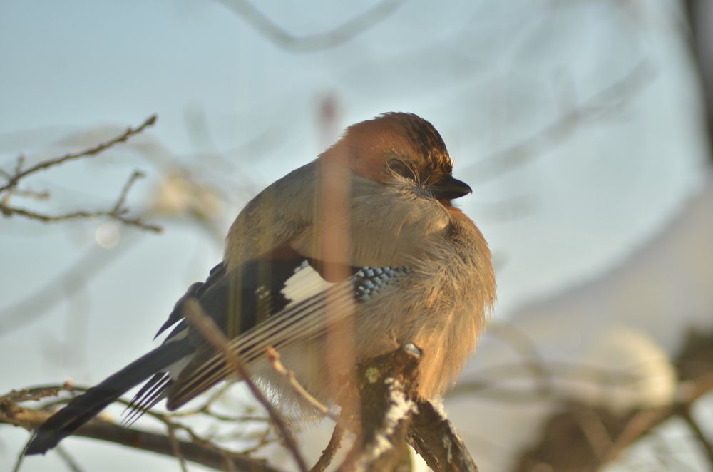 Photograph by Галина Карманова