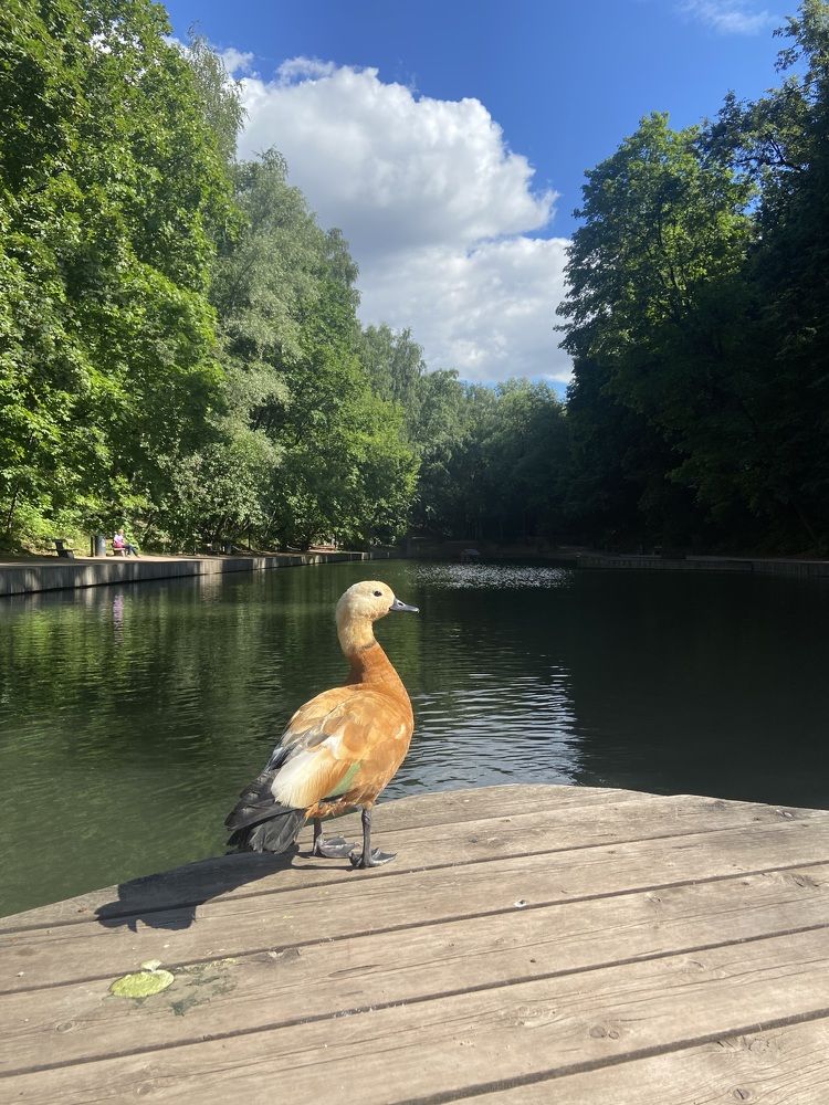 Photograph by Лазарева Анна Игоревна