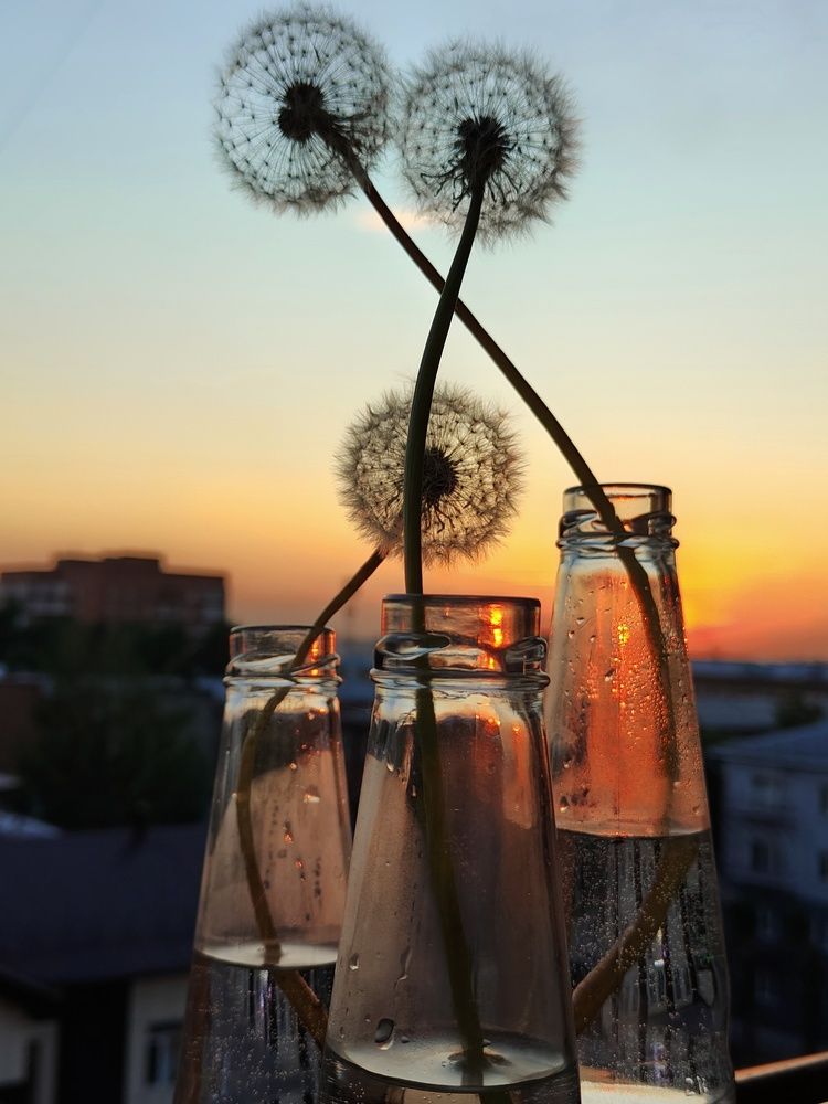 Photograph by Наталья Адалинская