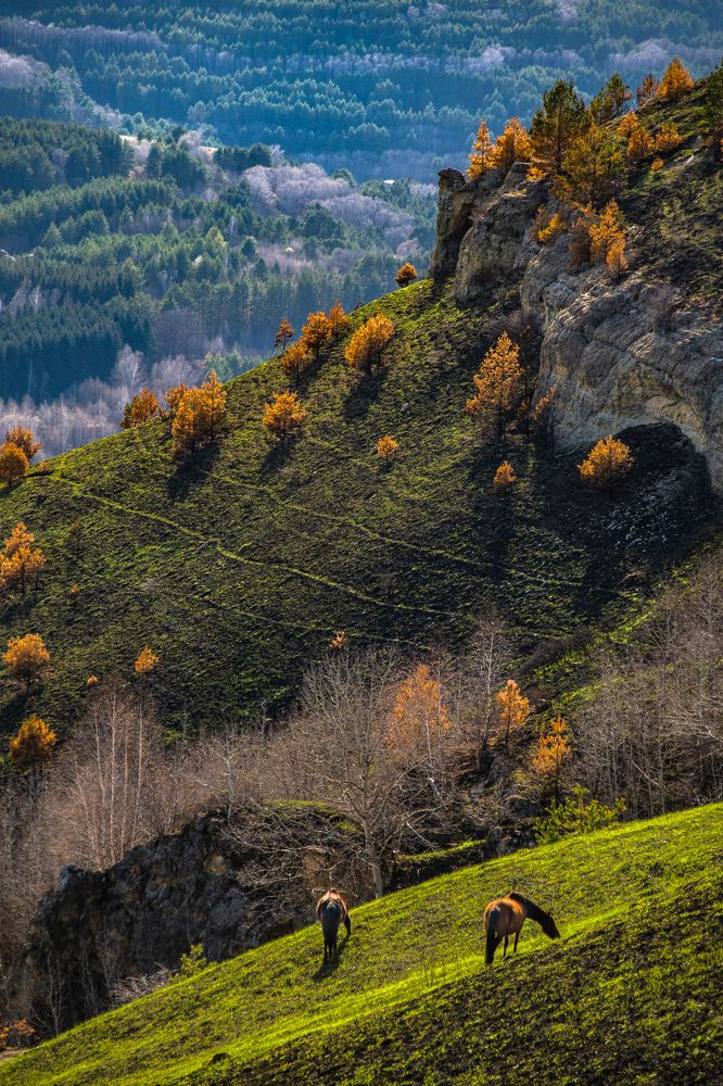 Photograph by Sveta_Poln