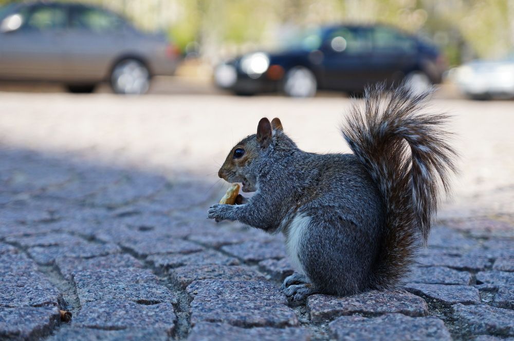 Photograph by Юрий Сычев