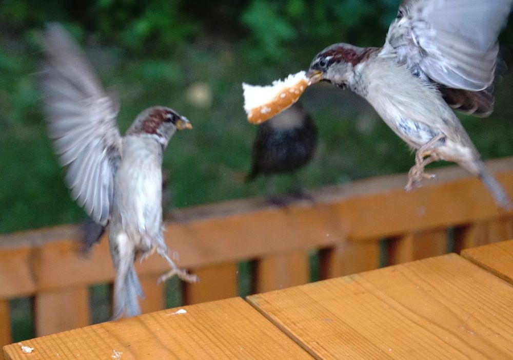 Photograph by Юрий Сычев