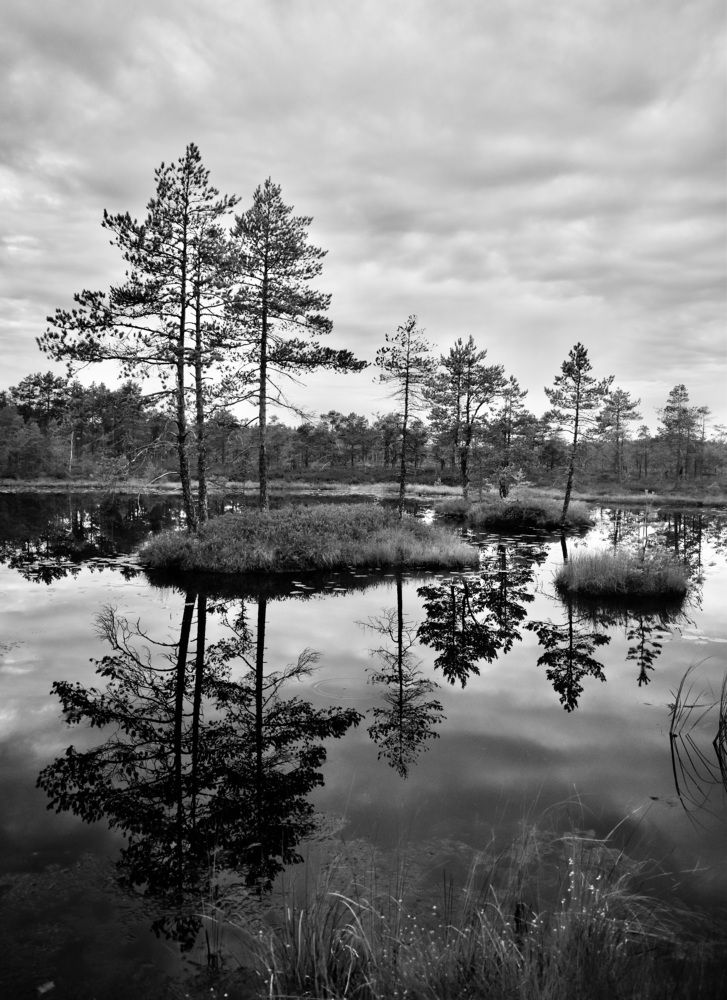 Photograph by Сергей Духновский