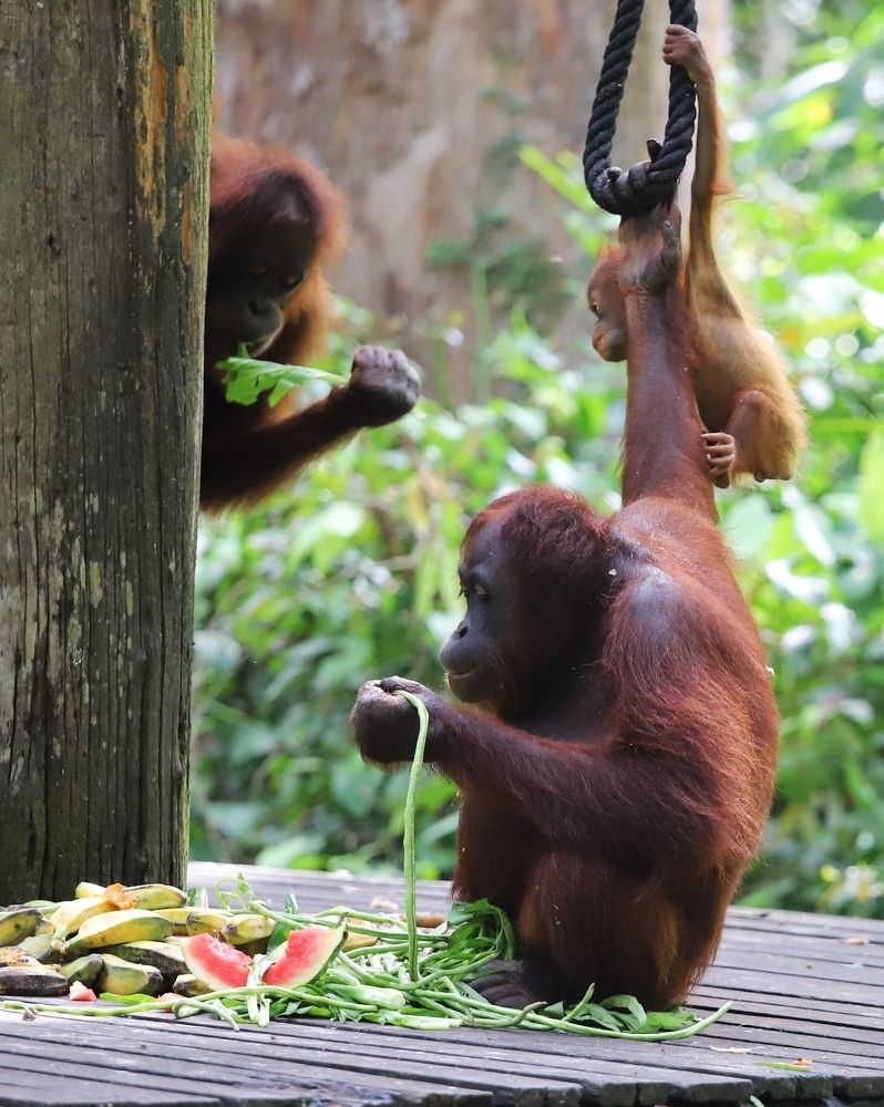 Photograph by Максимушкина Ольга