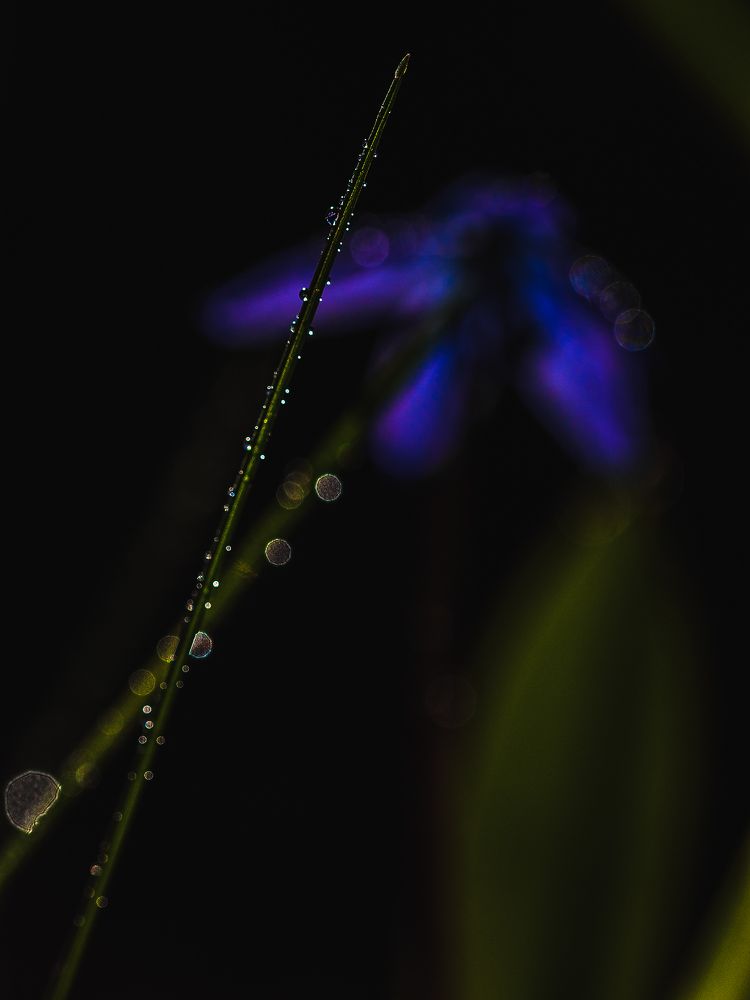 Photograph by Ольга Попова