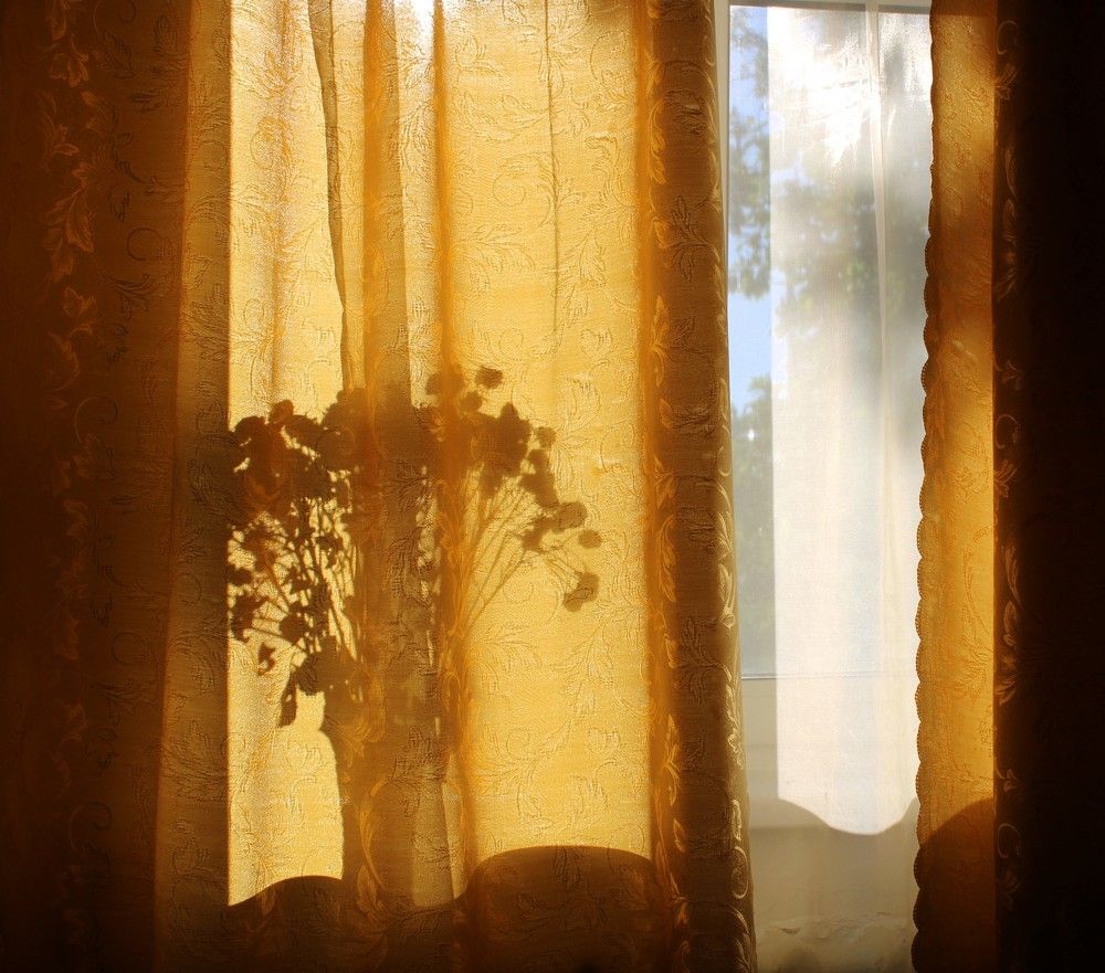 Фотография автора Алена Богданова