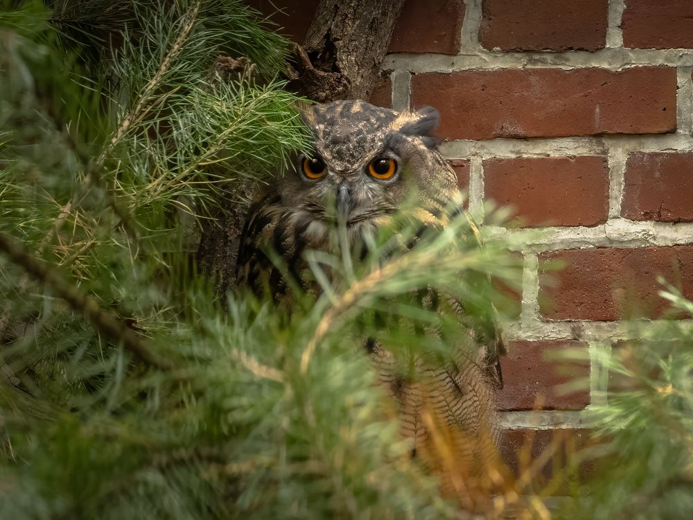 Photograph by Erik Nelson