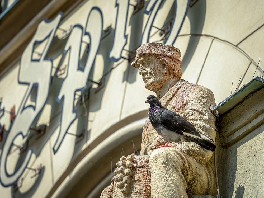 Фотография автора Erik Nelson