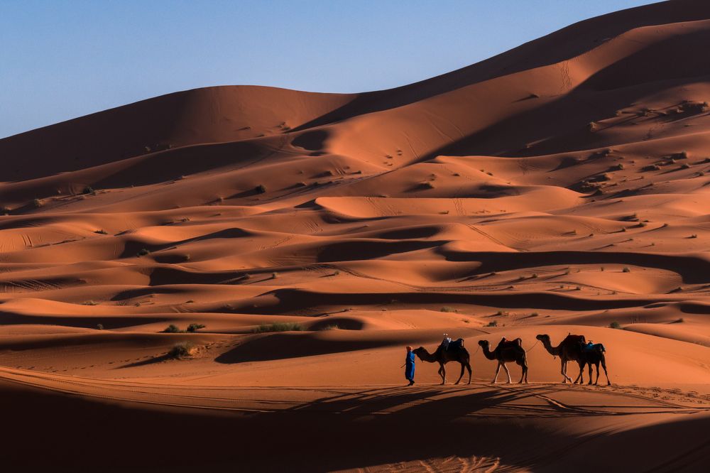 Photograph by konstantin zhdanov