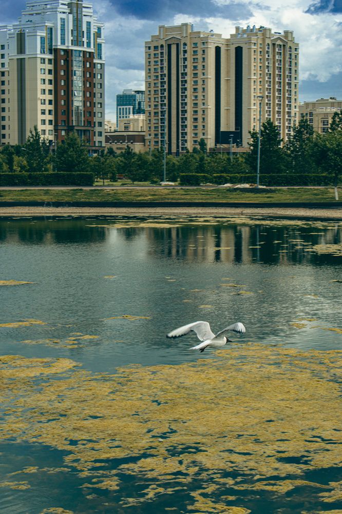 Photograph by Kanat Amre