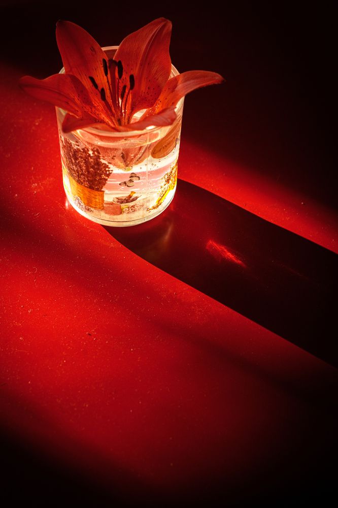 Photograph by Григорий Шишонков