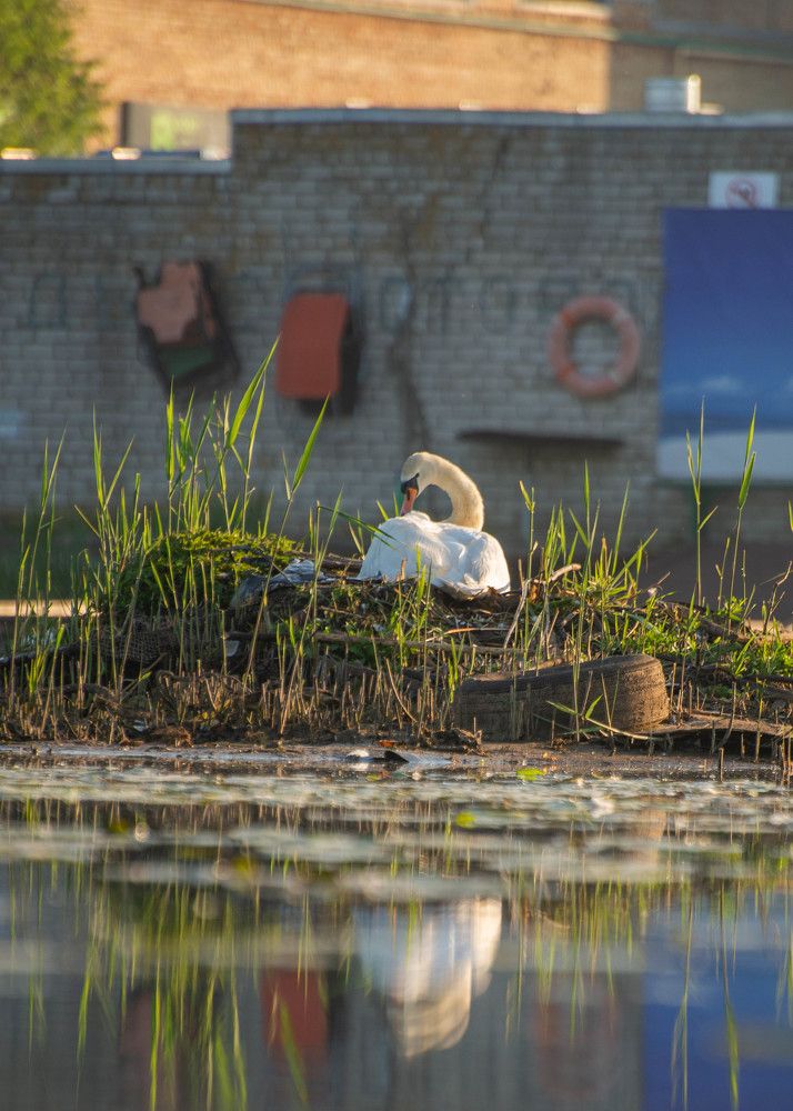 Фотография автора Aлексей Игнатьев