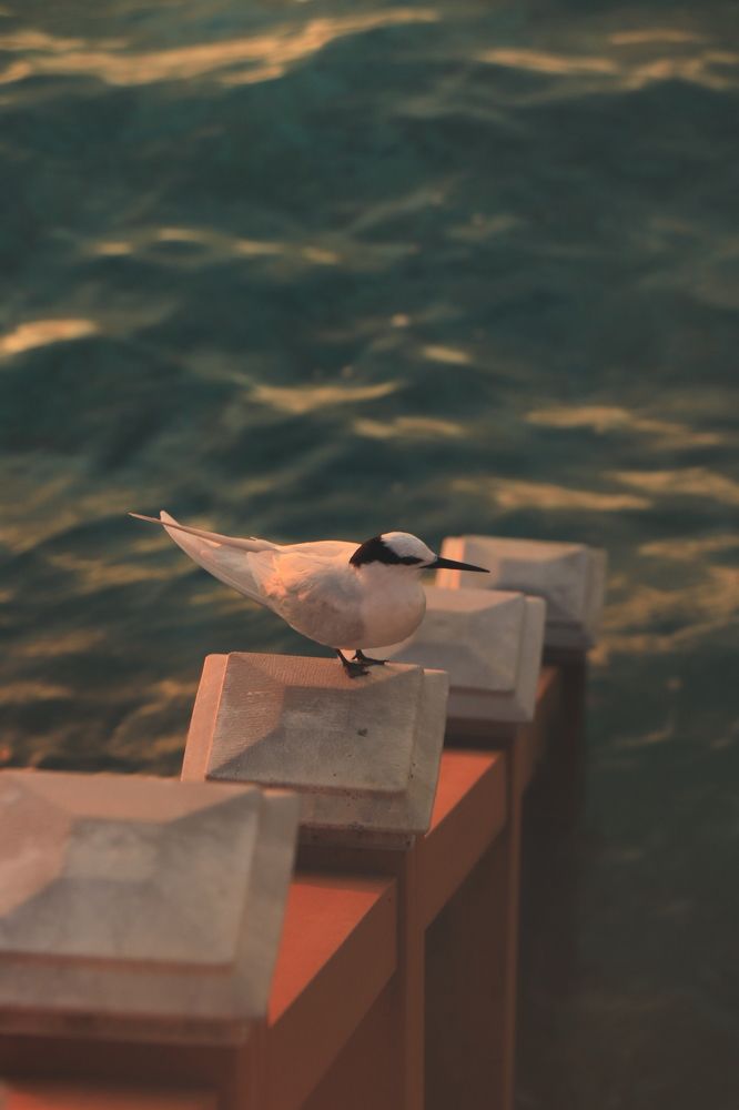 Photograph by Валерия Лунина