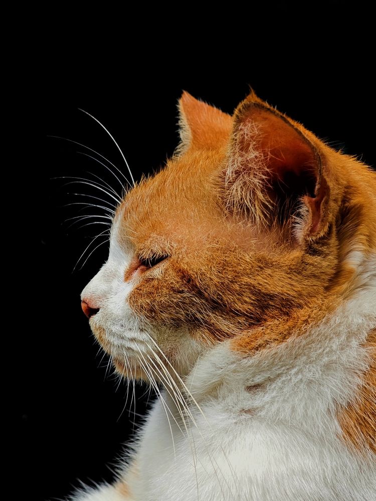 Photograph by Merta Jaya