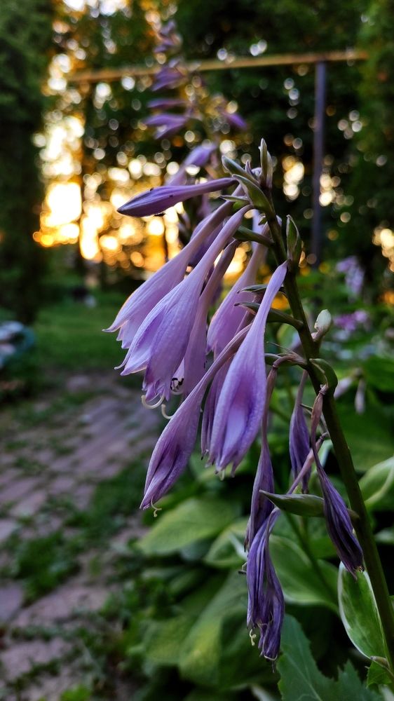 Photograph by Катерина