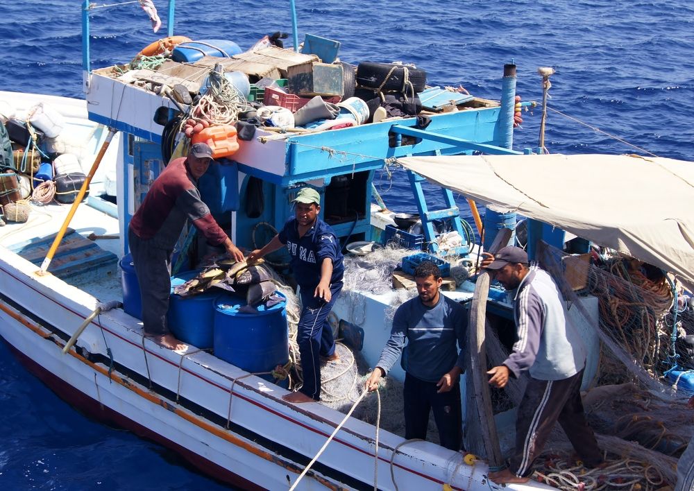 Рыбаки в Египте