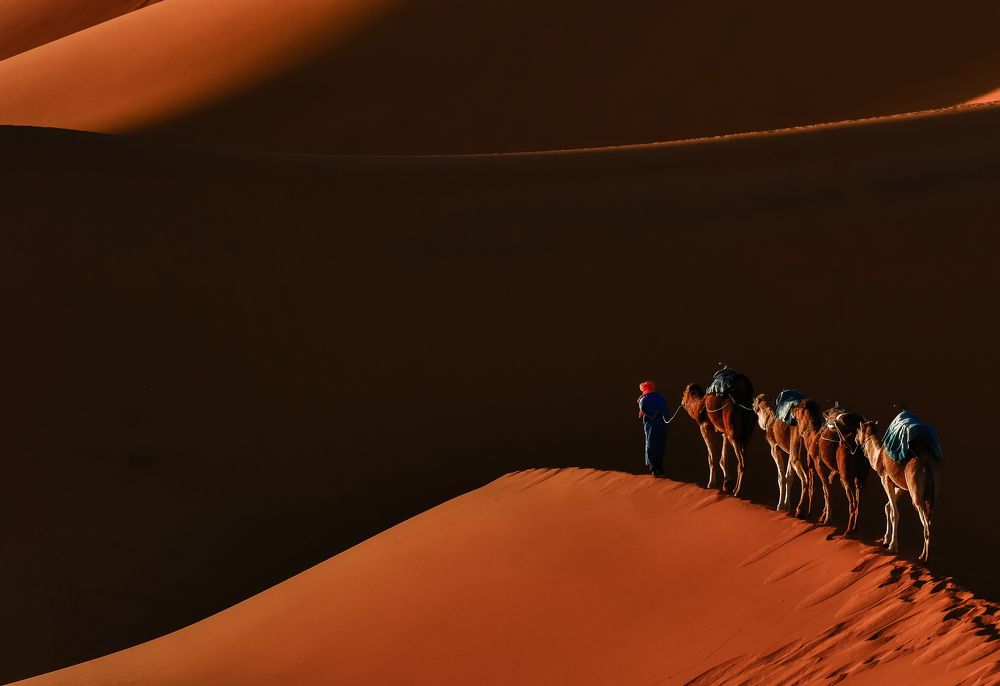 Photograph by konstantin zhdanov