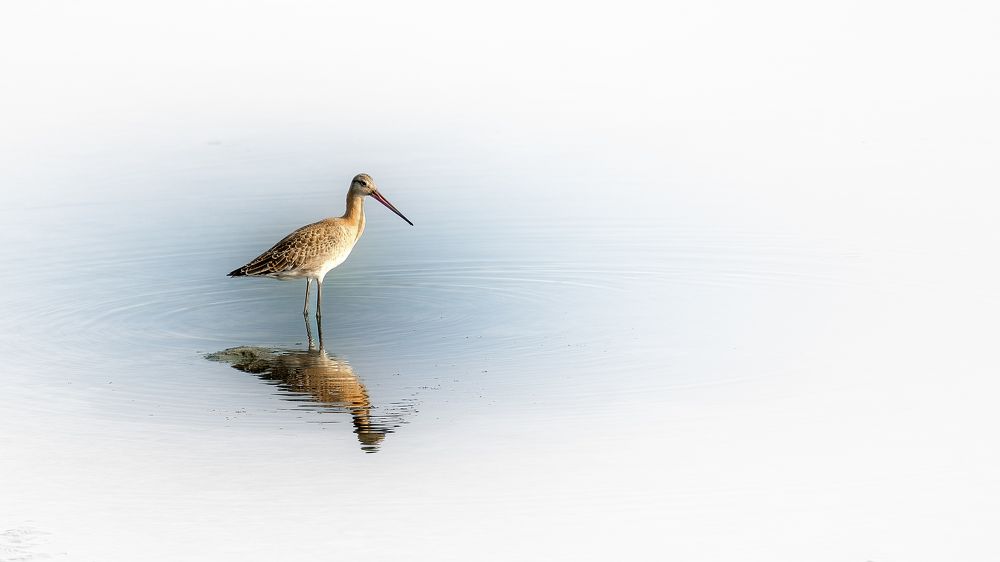 Photograph by Александр Соловьев