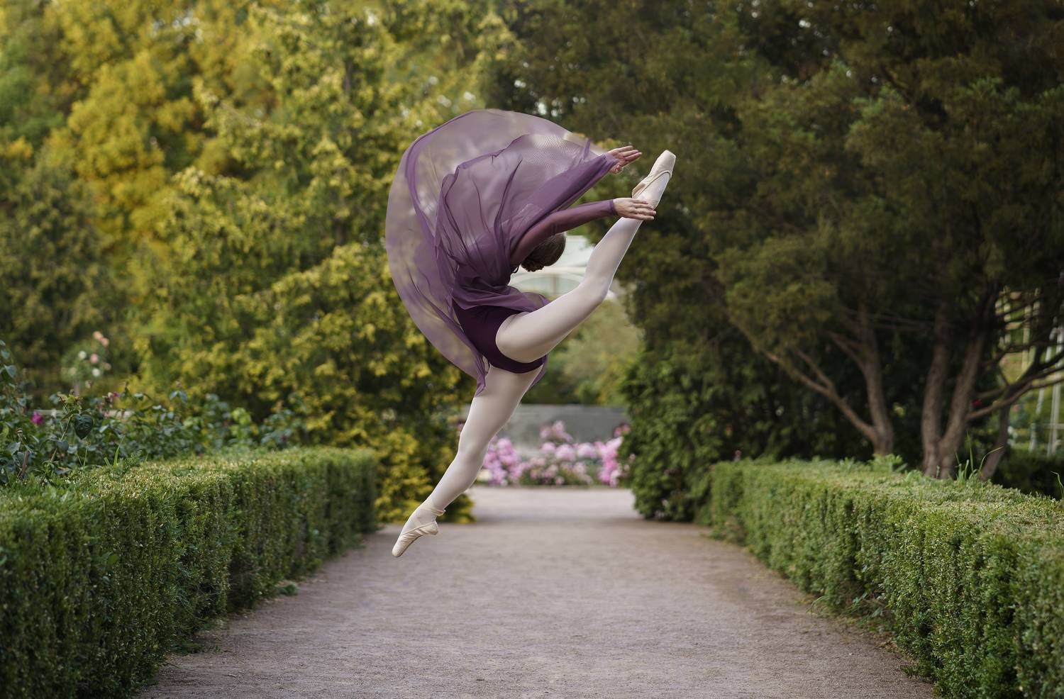 Фотография #10834789