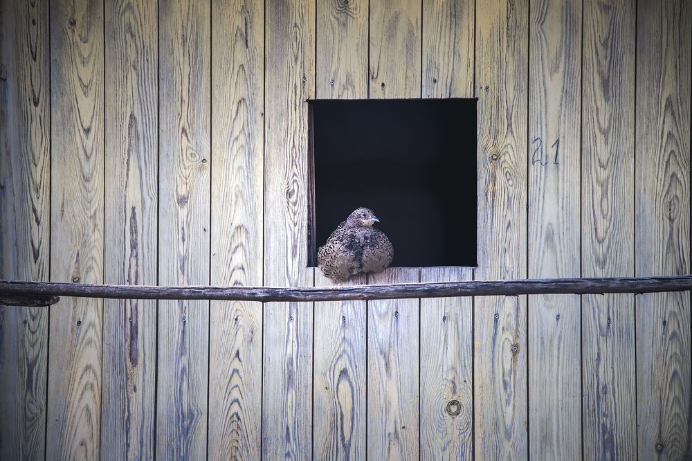 Photograph by Галина Полищук