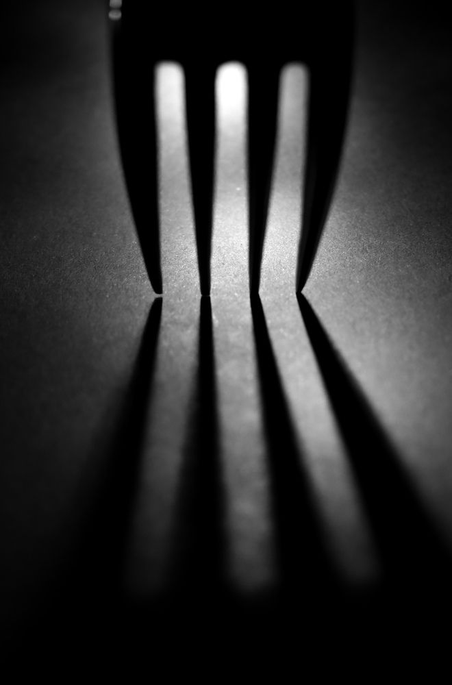 Photograph by Grădinaru Catalin