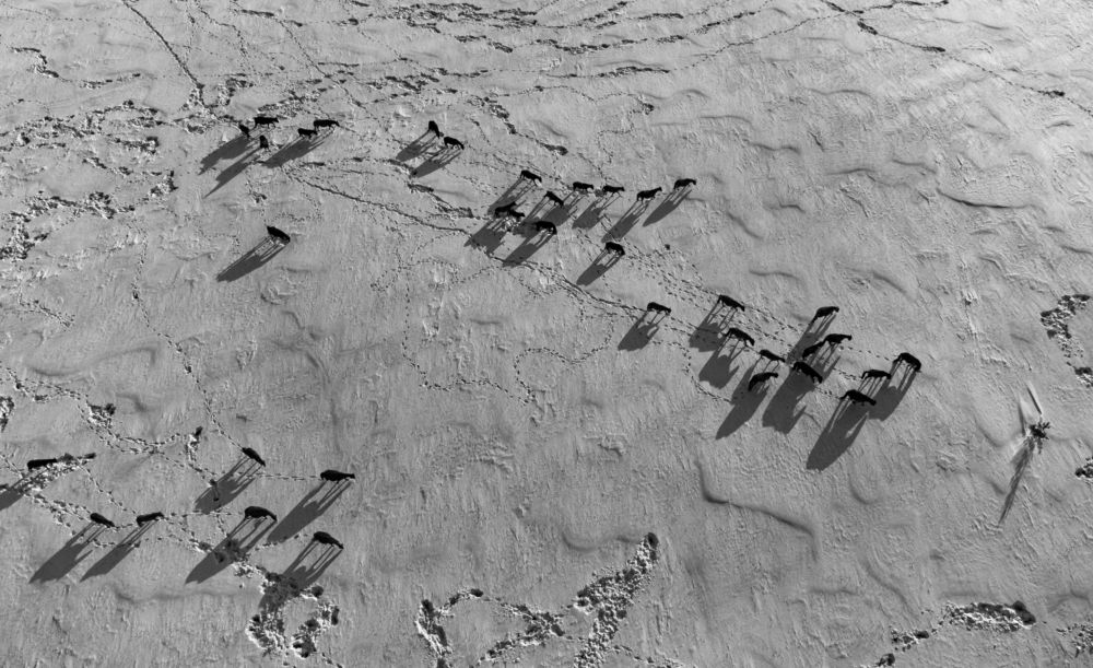 Photograph by Sergey Vatta