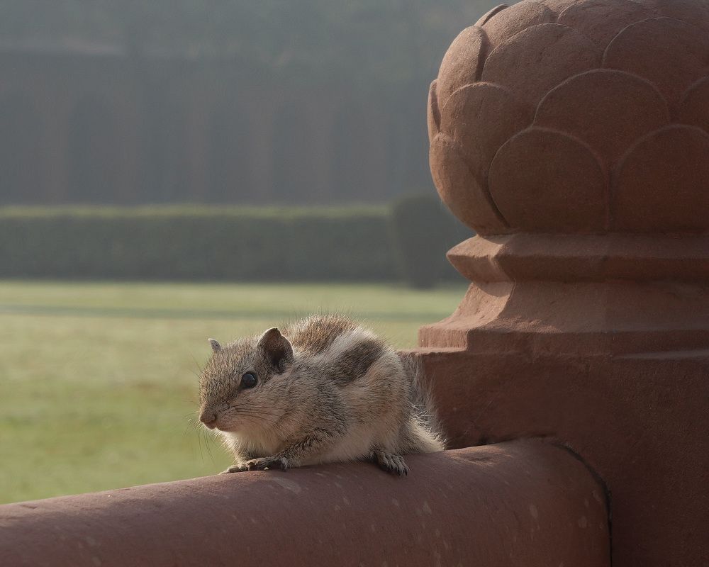 Photograph by LYUDMYLA POKRYSHEN