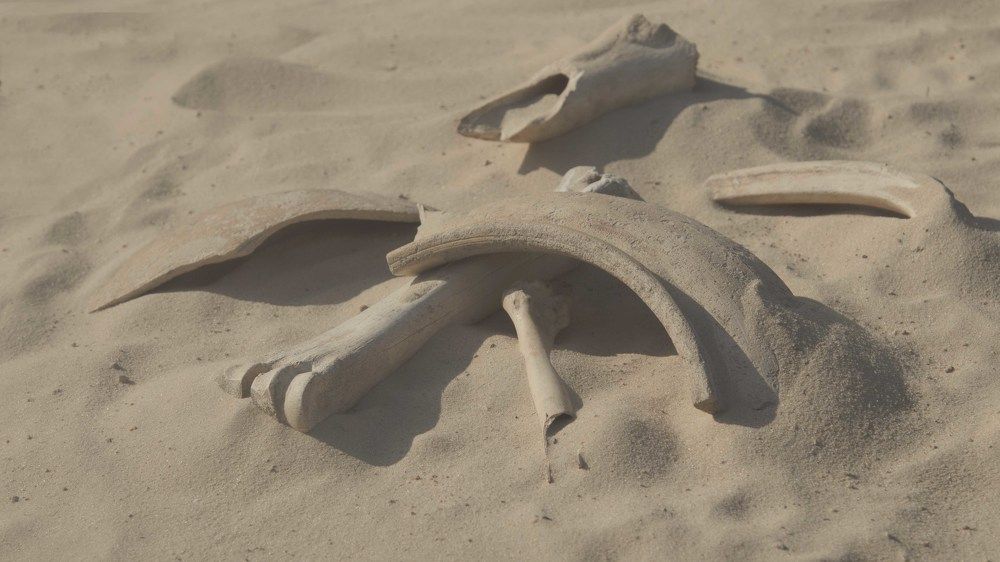 Игра в Ольвию