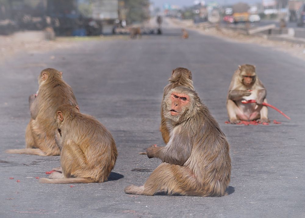 Photograph by LYUDMYLA POKRYSHEN