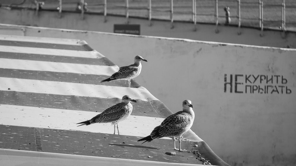 Photograph by Галина Полищук