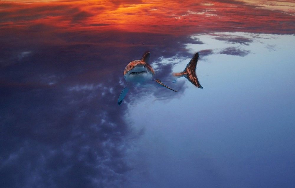 Photograph by Валерий Кудряшов