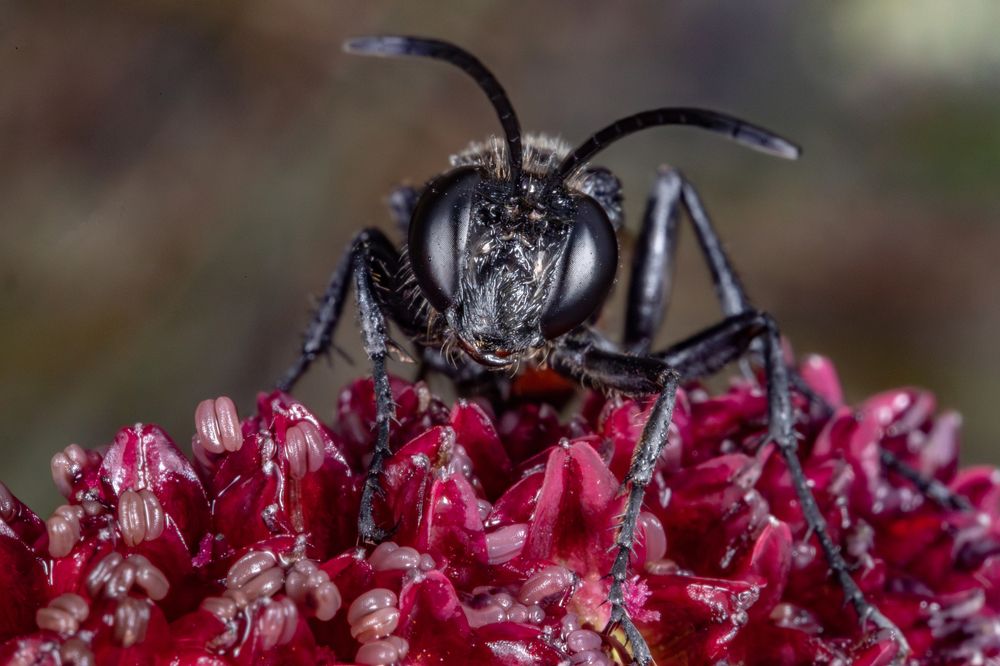 Photograph by Sergey Vatta