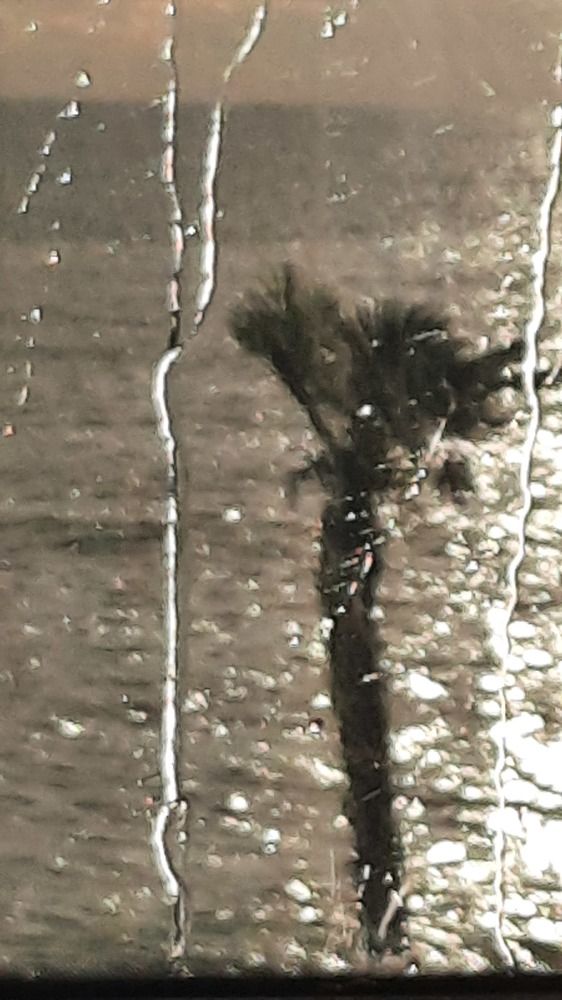 Photograph by Галутина Ольга