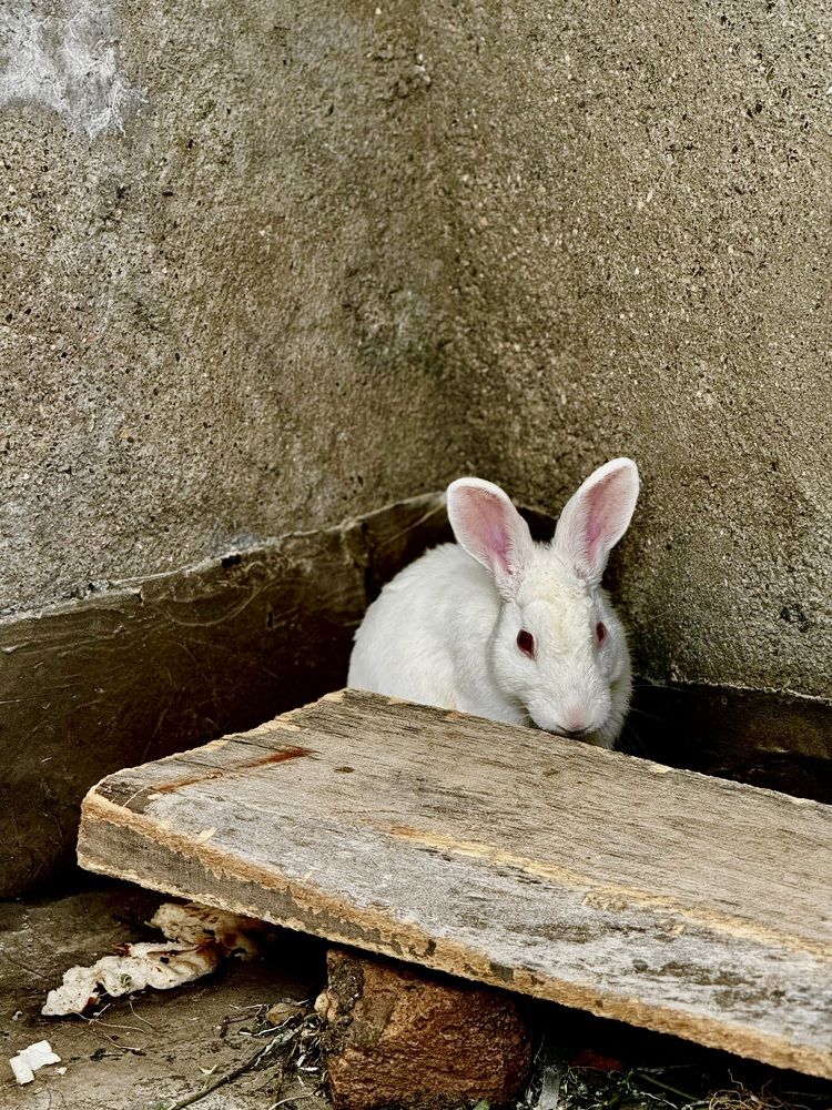 Фотография автора Seyedeh hanieh seiffard