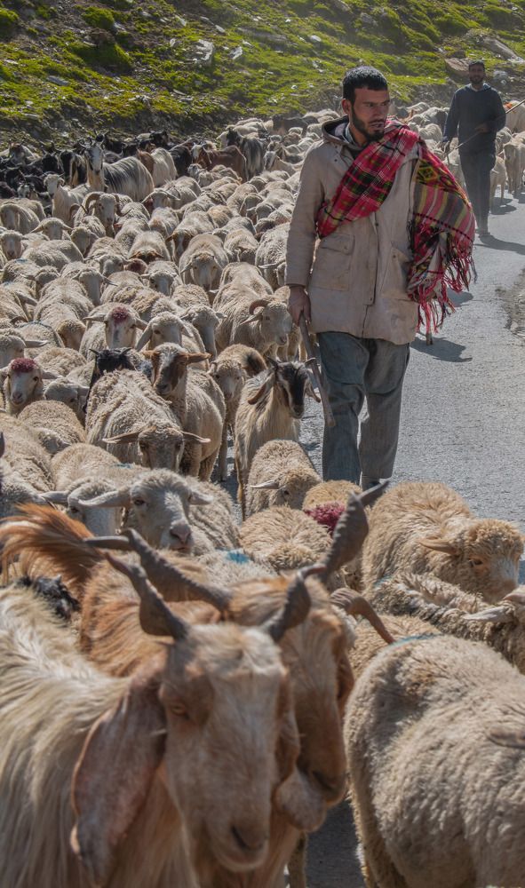 Photograph by Dibyajyoti Nath