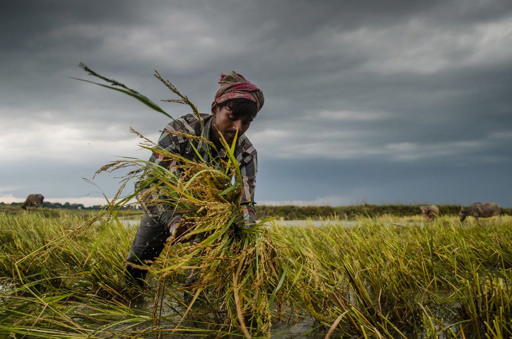 Photograph by Dibyajyoti Nath