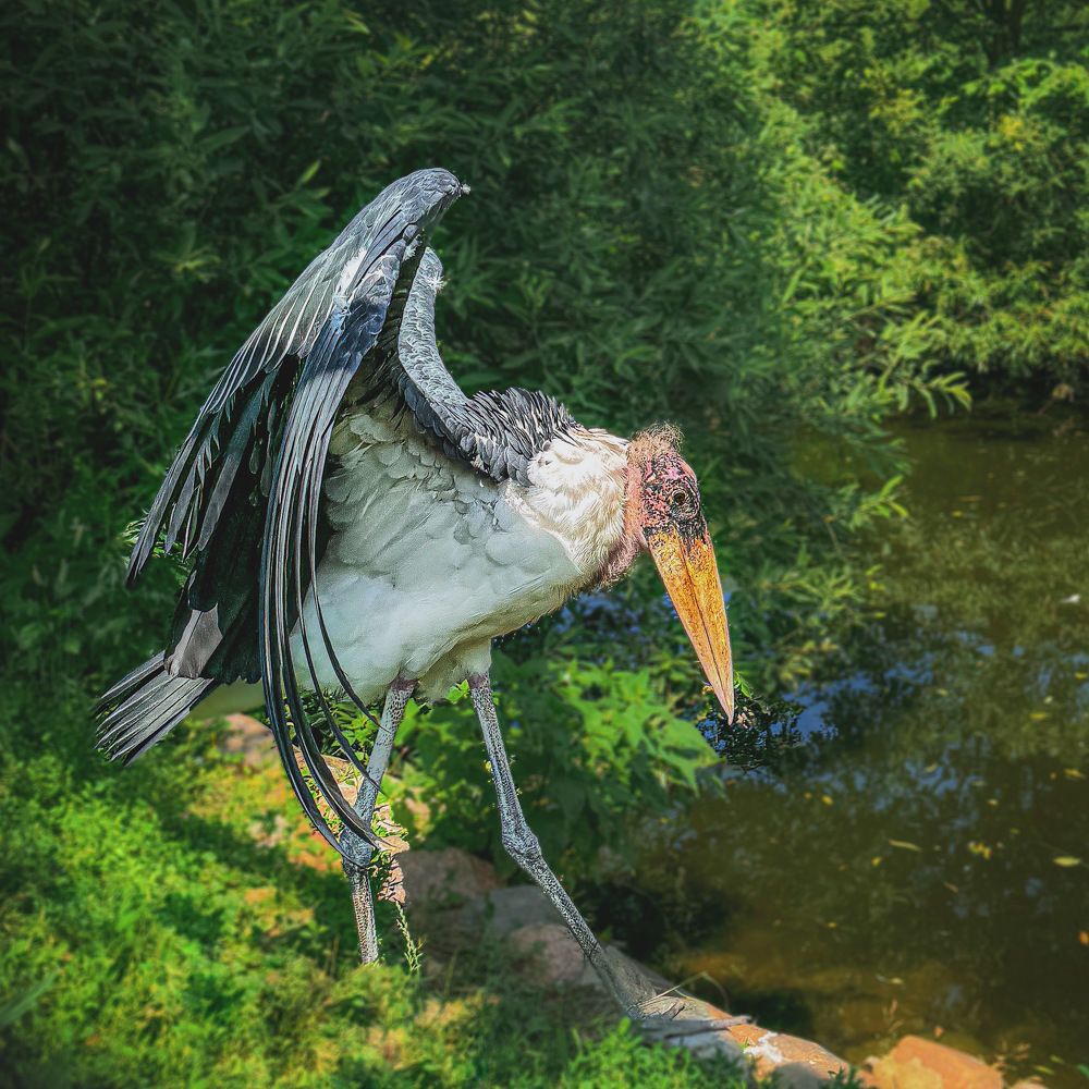 Photograph by Евгения Д