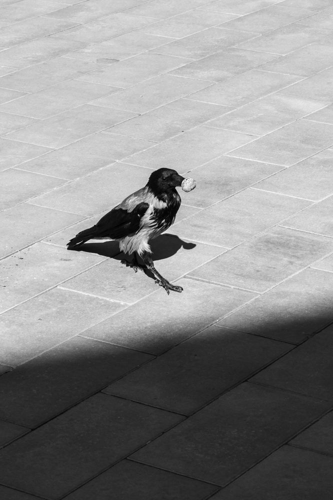 Photograph by Ольга Салтыкова