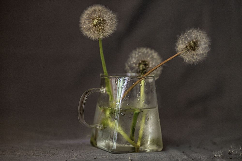 Photograph by Ольга Софронова