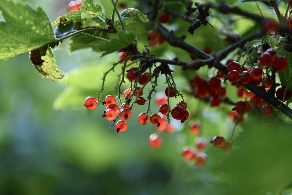 Photograph by Ольга Струкалина