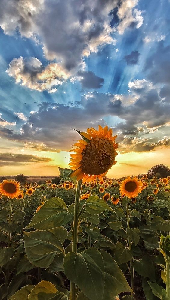 Photograph by Наталья Исиченко