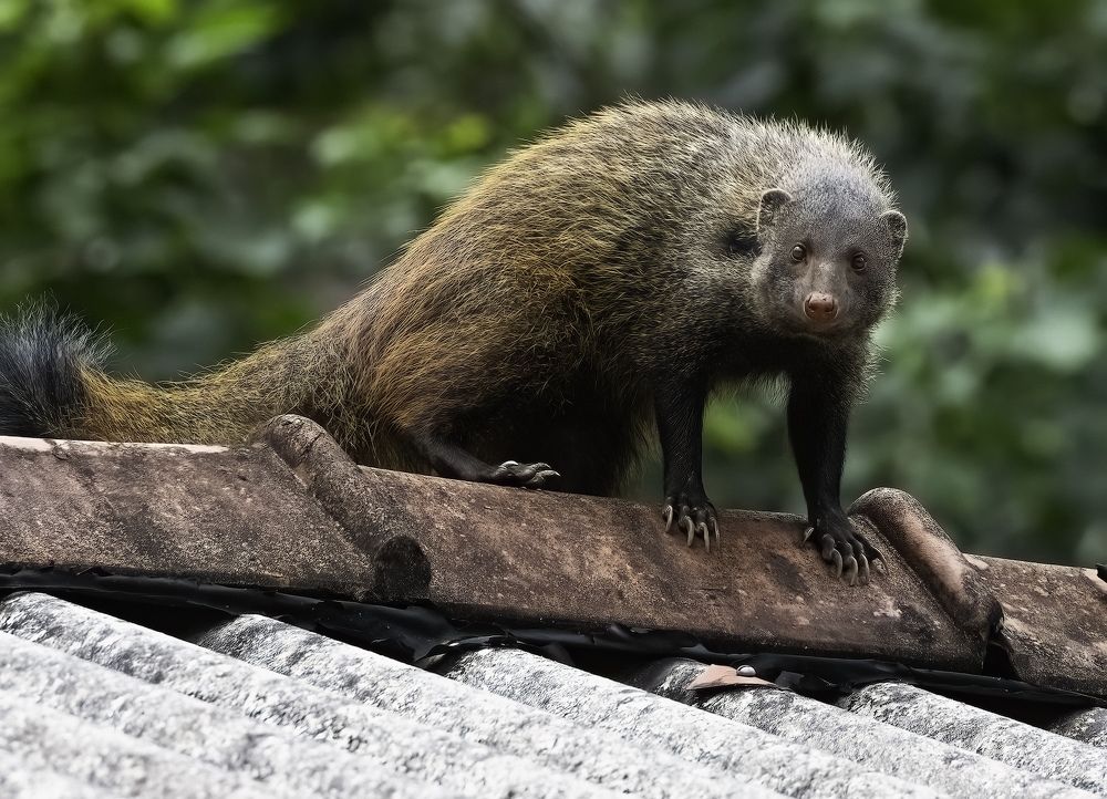 Photograph by HEMAMALI GUNASEKARA