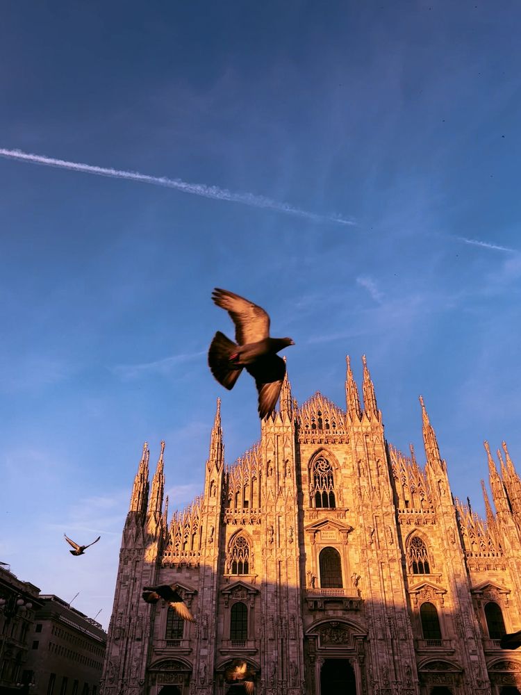 Фотография автора Anita Borsari