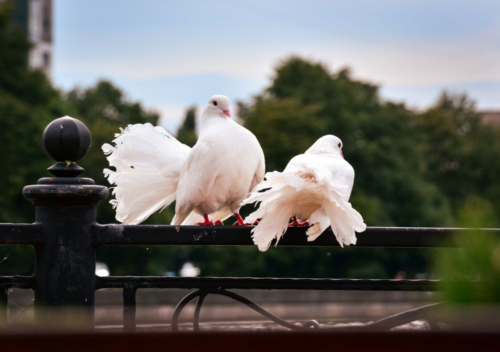 Photograph by Inna Ivanova