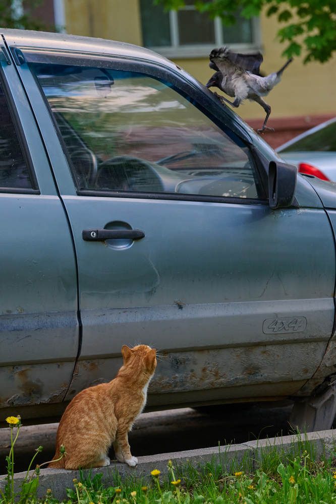 Photograph by Дмитрий Солодухин