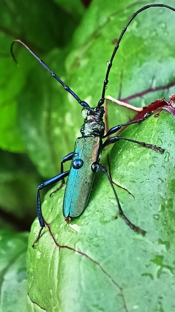 Photograph by Татьяна Пятернёва