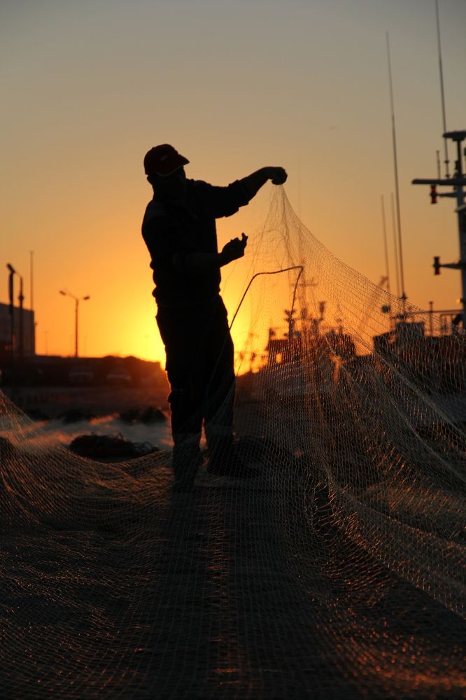 Photograph by Luís Sérgio Gonçalves