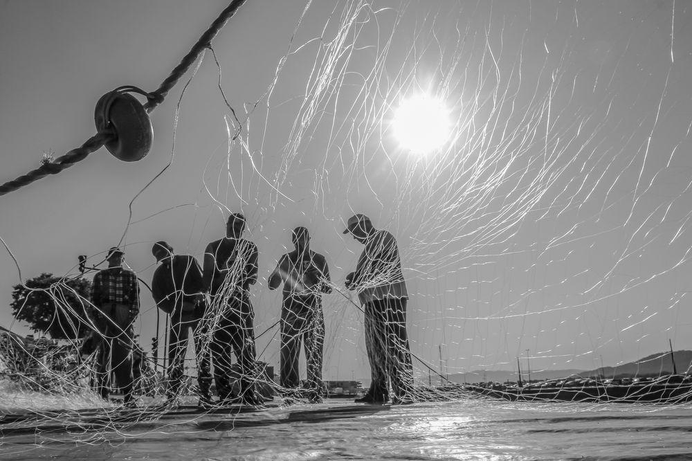 Photograph by Luís Sérgio Gonçalves