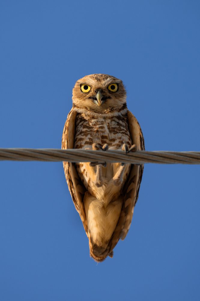 Photograph by Eliud Gil Samaniego